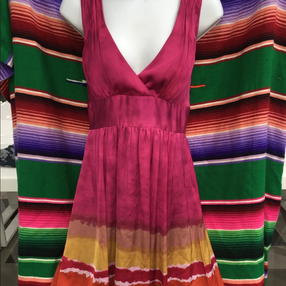 Beautiful Max and Cleo vibrant dress